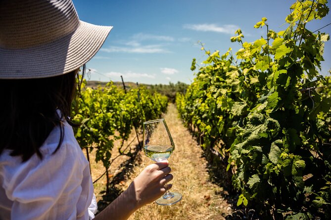 Private wine tasting experience in Crete with Eye Travel